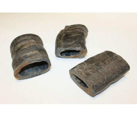 buffalo_horn_dog_chew