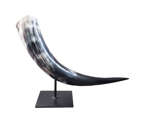 decor_horn