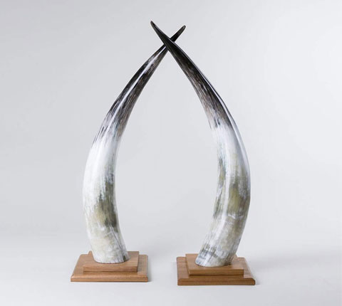decor_horns