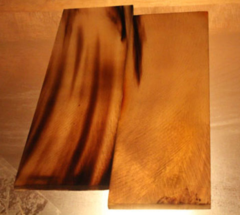 buffalo_horn_plates