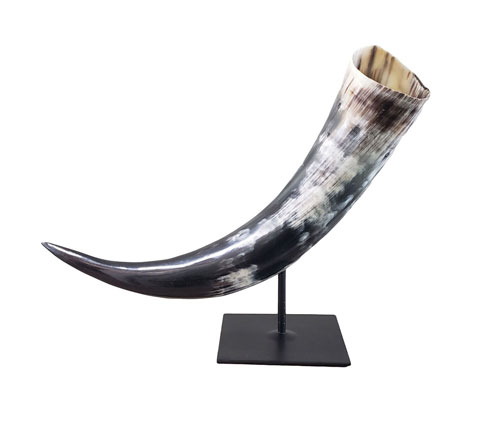 show_piece_buffalo_horn